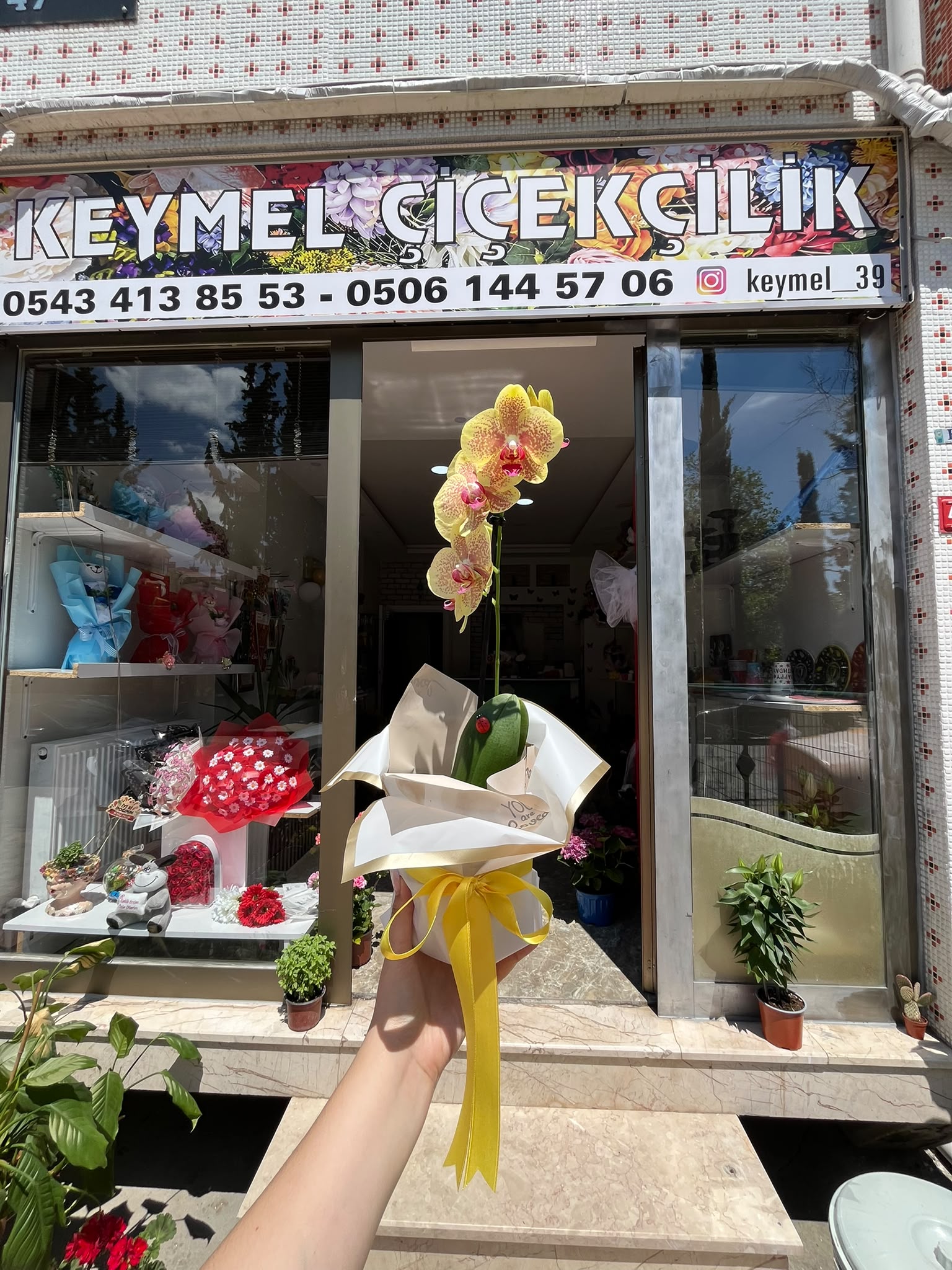 Kırklareli kır düğünü