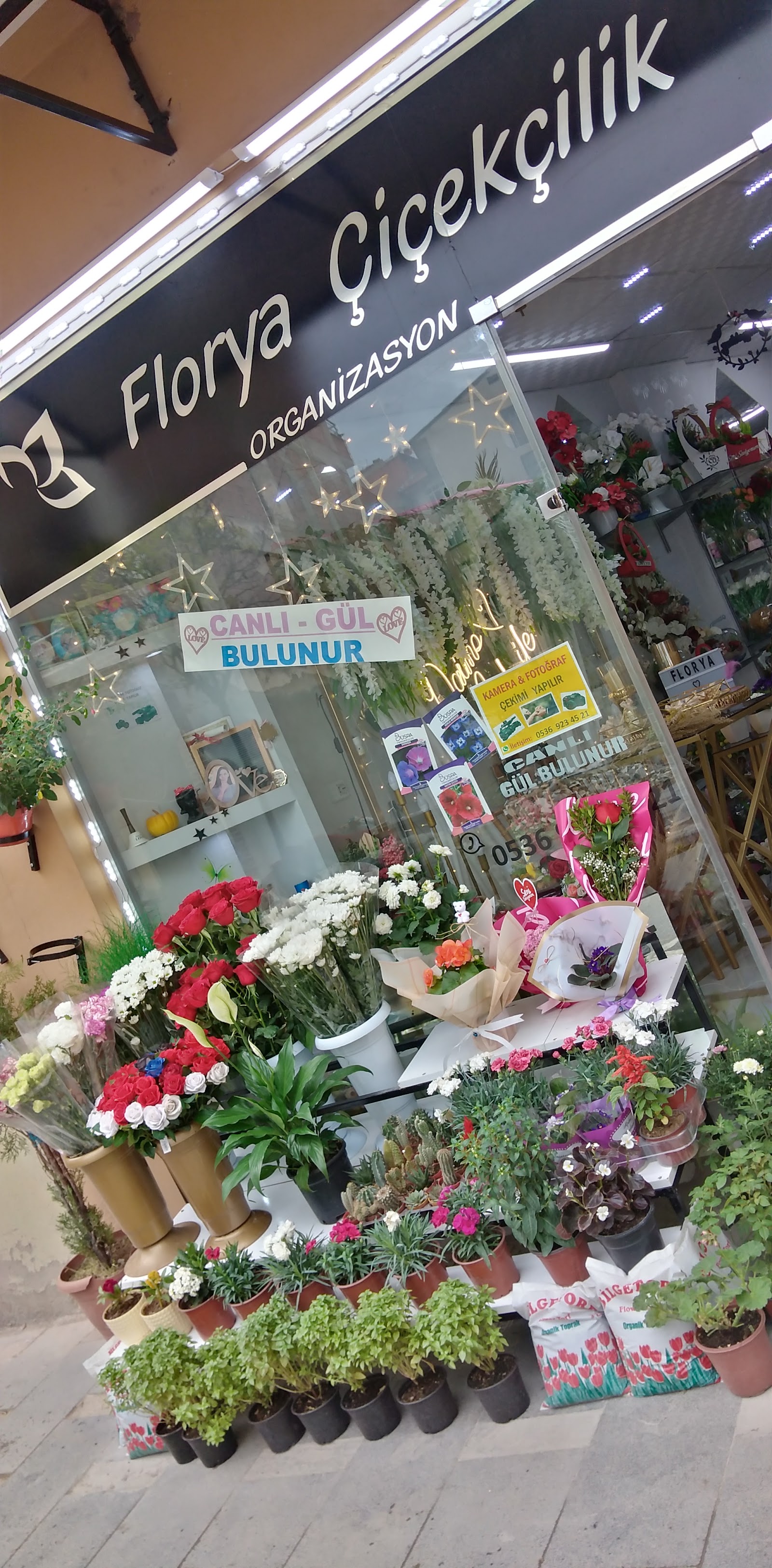 Malatya kır düğünü